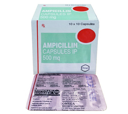 Antibiotics Ampicillin 500 mg Ampicillin Omega Pharma