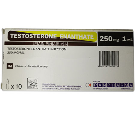 Injectable Steroids Testosterone Enanthate 250 Testosterone Enanthate Panpharma