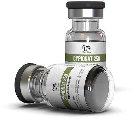 Injectable Steroids Cypionat 250 mg Testosterone Cypionate Dragon Pharma