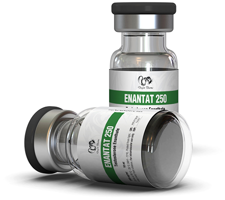 Injectable Steroids Enantat 250 mg Testosterone Enanthate Dragon Pharma